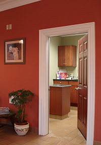 Typical Exam Room at Flemington Veterinary Hospital