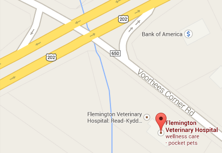 Local Map Listing for Flemington Veterinary Hospital