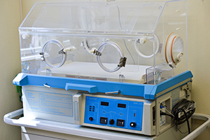 Incubator for Newborn Puppies and Kittens